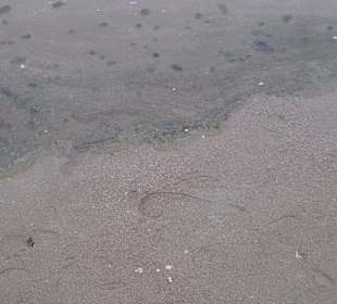 Güllewasser nicht weit von uns entfernt