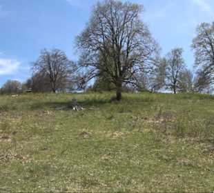 Premiumspazierwanderweg - Hochgehhütet