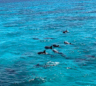 Stadtrundfahrt Hurghada