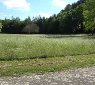 Kurpark Bad Niedernau