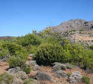 Auf dem Weg zur Bucht - über ein Hügel vom Meer 