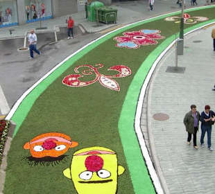 Alfombras florales Burela