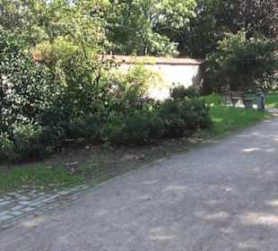 Kloster zum Heiligen Kreuz