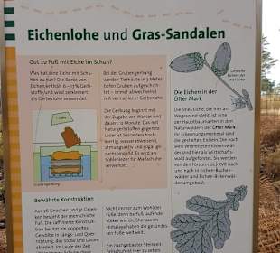 Ameisen Barfußpfad Hinweistafel