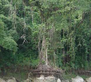 Die Kraft des Wassers