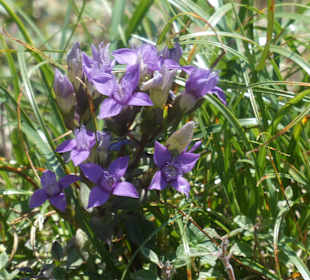 Wanderung am Nebelhorn