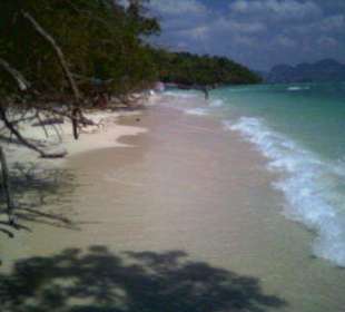Chicken Island