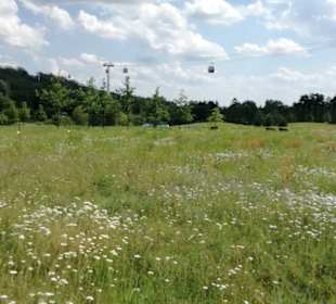 Blick auf die Seilbahn