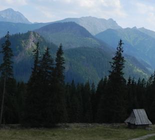 Rusinowa Polana