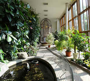 Rundgang durch die Orangerie des Schlosses