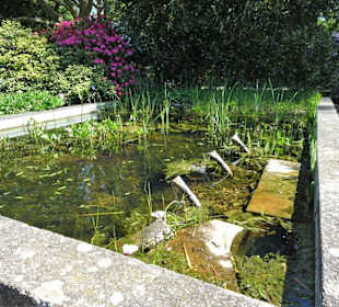 Eindrücke vom Spaziergang durch den Stadtpark
