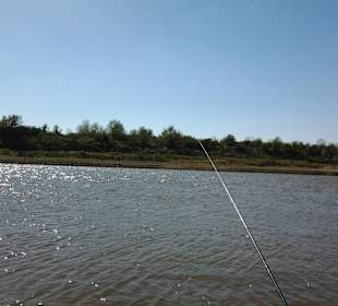 Serenity - bite is late 