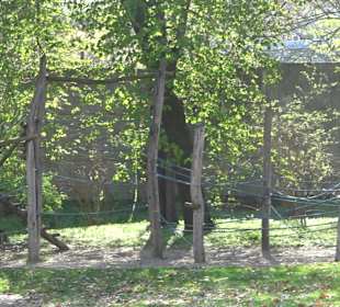 Pumptruck Unterer Schlossgarten