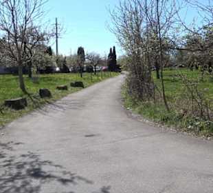 Wanderung Florianrunde