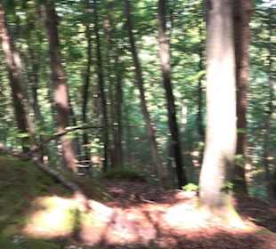 Premiumwanderweg "hochgesprudelt"