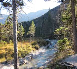 Bachlauf