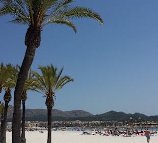 Strand Alcudia