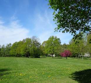 Rundgang durch den Walter-Peters-Park