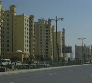 So sieht es auf dem Stamm aus...