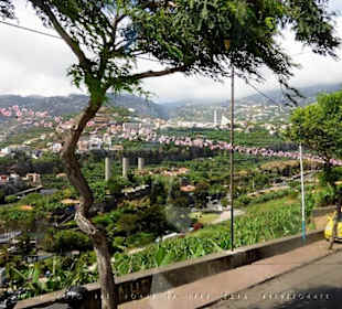 #1370 Yellow Bus hellblau Madeira-Camara de Lobos.