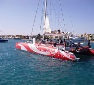 Ocean Diva Catamaran Segelausflug