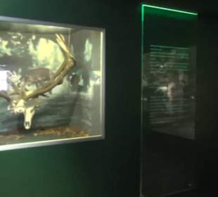 Jagdtier + Vogelkunde