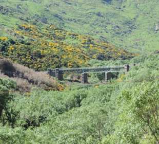 Mit der Taieri Railway durch die Natur Neuselands