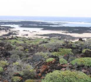 Natur pur Nähe Orzola