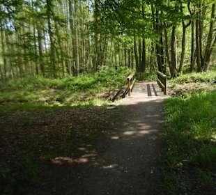 Naturschutzgebiet Boberger Niederung