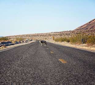 Death Valley