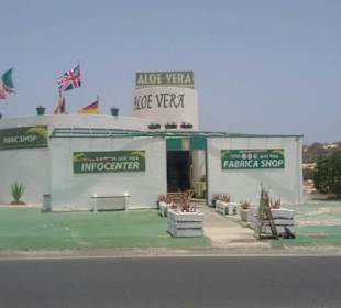 Aloe Vera Infocenter Fuerteventura-Corralejo Dunas