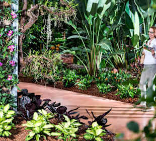 Raffeiner Orchideenwelt