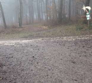 Wasser & Klang Pfad in Auernheim