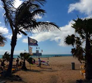 Bei Costa Calma / Windsurfing 