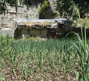 Kräuterbeet in Selbe