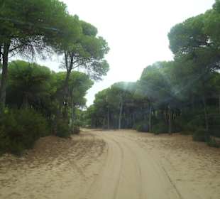 Impressionen aus dem Naturschutzgebiet Donana