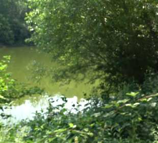 Naturerlebnispfad Klingenbach Steinenbronn