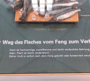 Meeresmuseum Stralsund