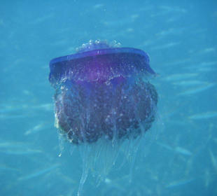 Unterwasser