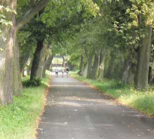 Muzeum Henryka Sienkiewicza Oblęgorek