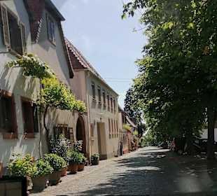 Stadtrundgang Rhodt unter Rietburg