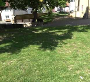 Schloss-Scheuer Baisingen