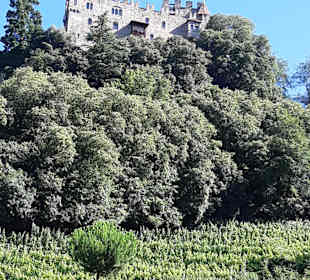 Schloss Tirol