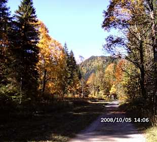 Herbst beim Schloss Linderhof