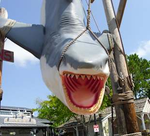 Universal Studios Orlando