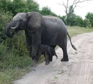 Jeepsafari am Nachmittag