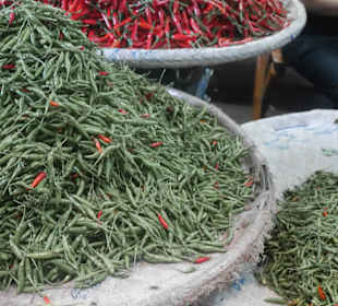 Gewürze, frisch und einladend