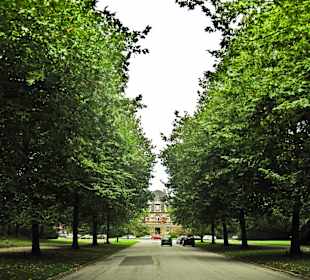 Кладбище Ольсдорф, Гамбург, 16 сентября 2013 года