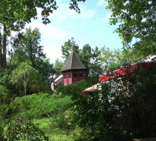 Zoo Heidelberg