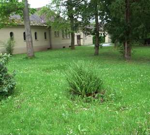 Waldfriedhof Degerloch